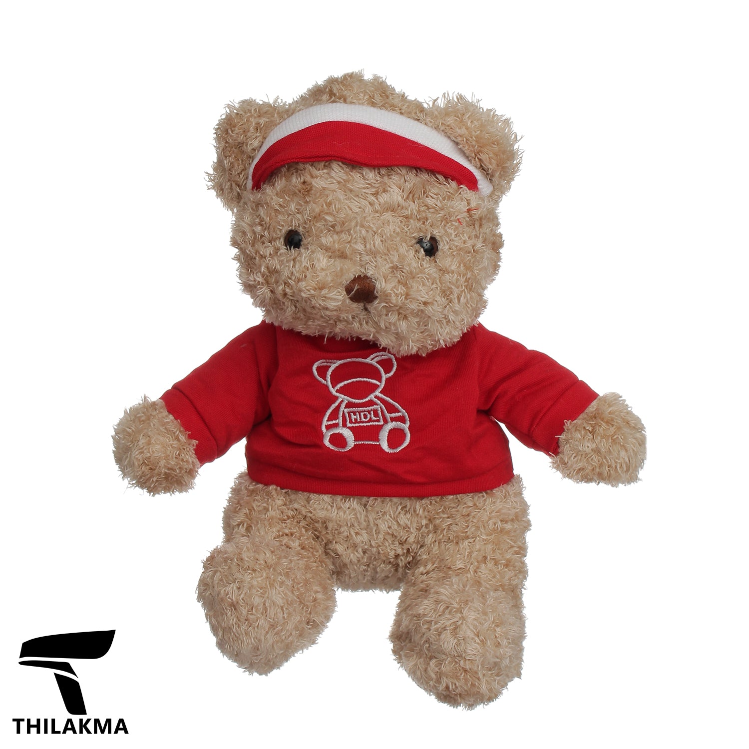 Plush Teddy
