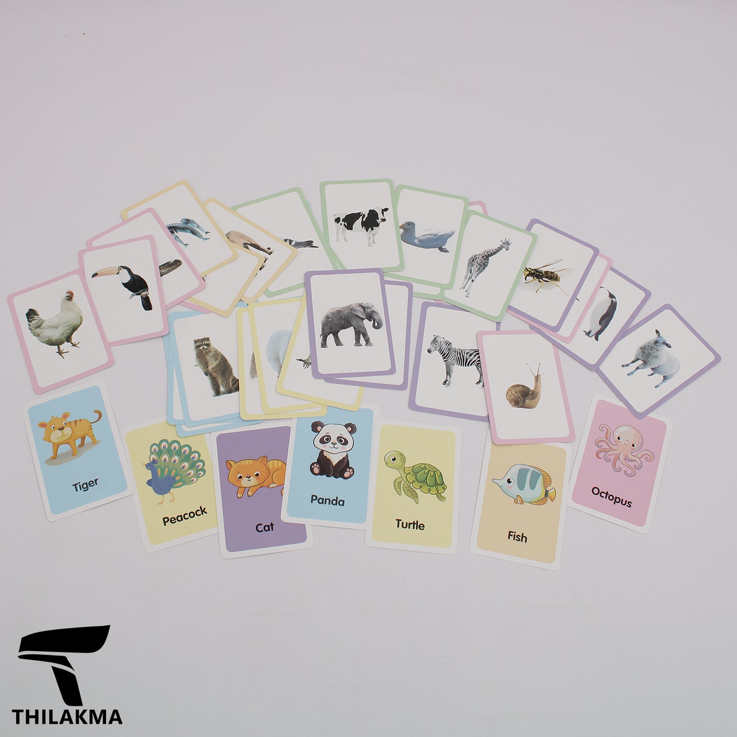 Animal Flash Cards Set - 36 pcs