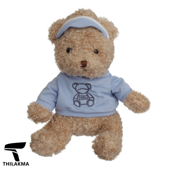 Plush Teddy