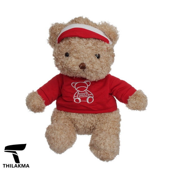 Plush Teddy