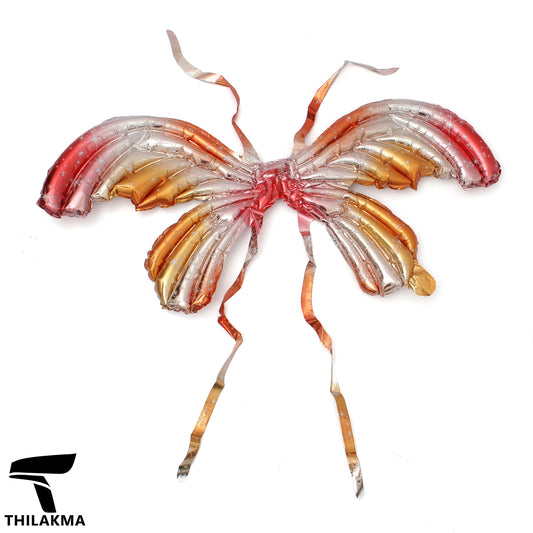 Colorful Butterfly Wings Set