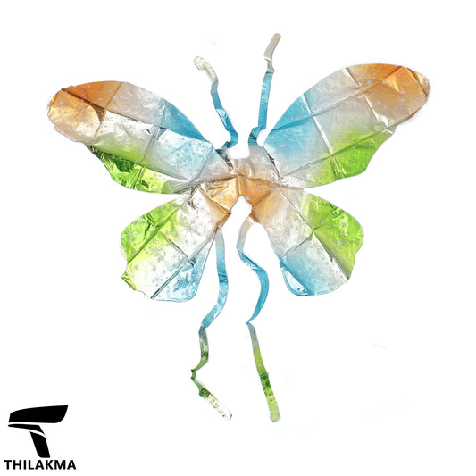 Colorful Butterfly Wings Set