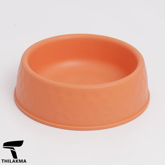 Pet Feeding Bowl